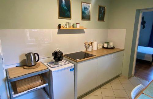 Apartamenty Jagodzianka - Jacuzzi, Sauna, Hot-bania, Tężnia - Foto 49