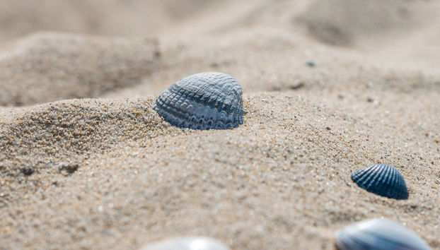 Luxury Dune Villa on a Holiday Park - Foto 4, Servicios del alojamiento