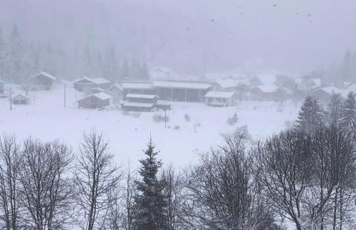 Appartement La Dole et Sens Au pied des pistes - Foto 9