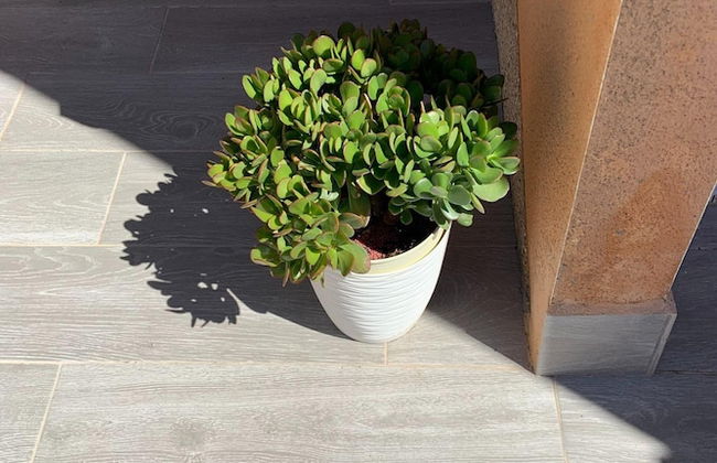 Belvilla by OYO Bungalow - Foto 39