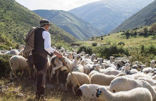 El Patio de la Morera - Foto 63