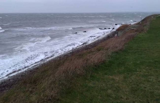 4 Person Holiday Home in Slagelse - Foto 24