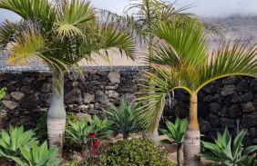 Caléndula Beach 1ºLinea mar - Foto 52