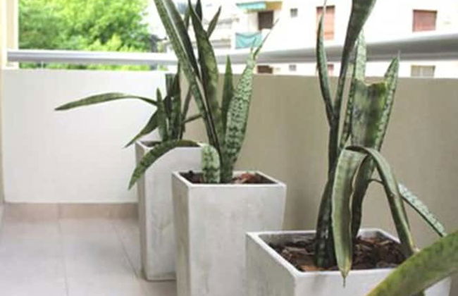 Baires Belgrano by iPPA - Foto 33