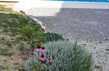 Apartment Finderli - Photo 19