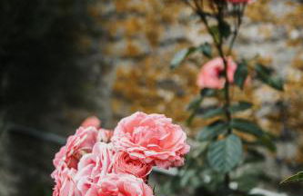 La Maison du Pêcheur - Photo 14