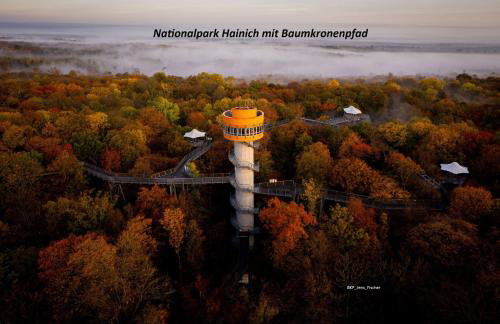 Ferienhaus Ringelwiese - Foto 19