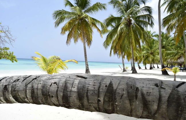 Excursión a isla Saona en catamarán - Foto 2