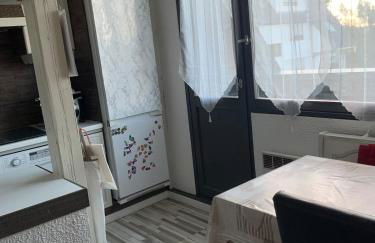 Appartement en attique 2 balcons 50m2 au calme - Foto 4