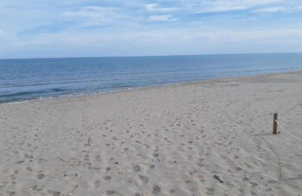 Exclusive Apartment - Playa de Marenys de Rafalcaid - Photo 34