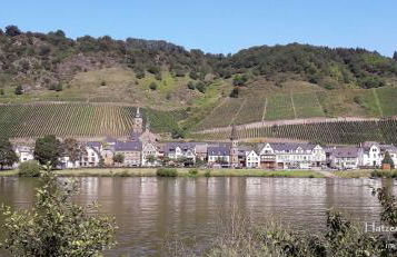 Fuchsdomizil - Foto 13