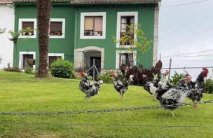 Casa Rural La Pereda - Foto 1