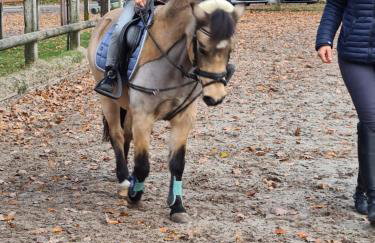 Ferienwohnungen Georgenbruch - Foto 122