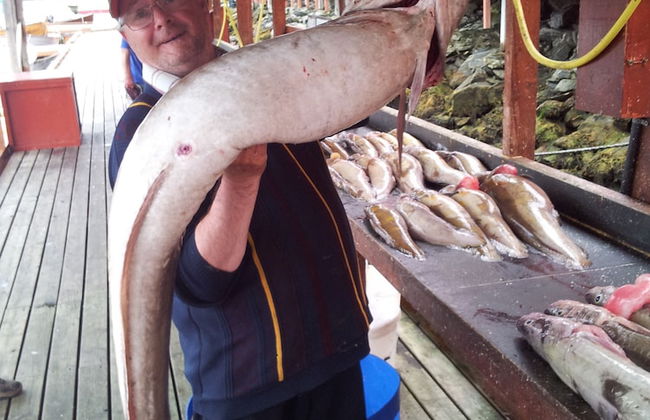 Sotra Rorbusenter - Foto 55