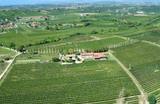 Le Bianchette Agriturismo e Fattoria Didattica - Foto 47