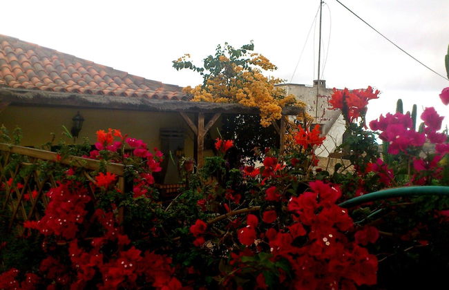 Casas Rurales Los Gavilanes - Foto 26