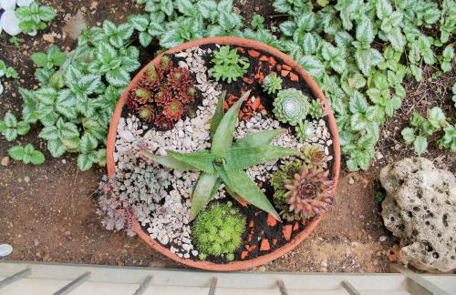 Apartments Tanja - Photo 31