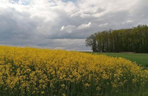 Old parish barn - Photo 27
