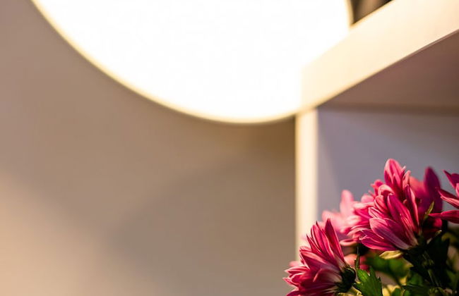 Whitby On The Hill - Foto 19