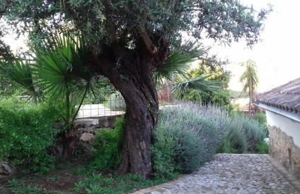 Casas de Almajar - Foto 48