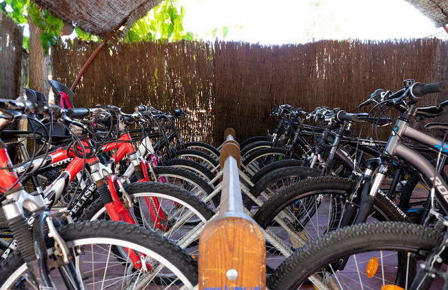 Tancat de Codorniu - Foto 49