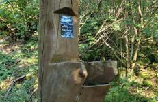 Ferienwohnung Osterquelle - Foto 26