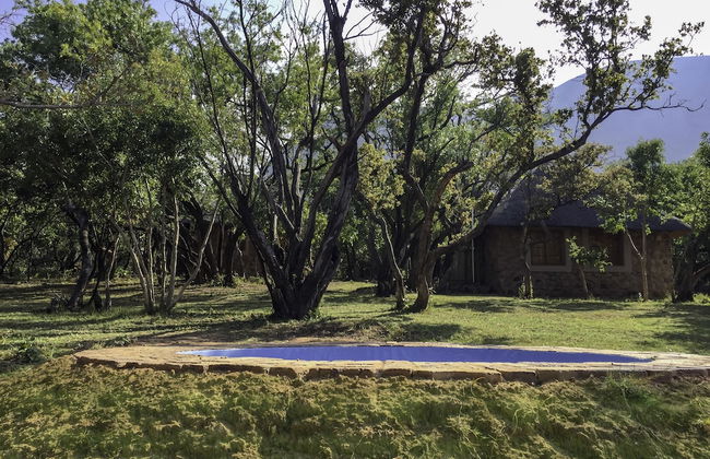 Griffons Bush Camp - Photo 8