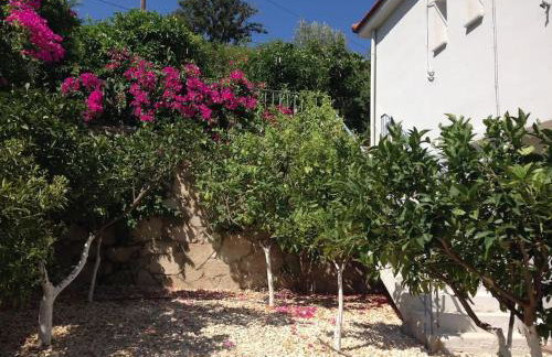 Lagada-Chios - Foto 20