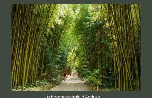 Le Cosy Cévenol - Jardin et terrasse - Foto 26