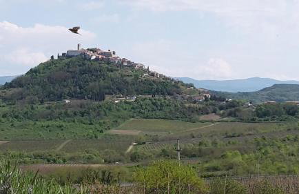 Apartment Bataja - Foto 33