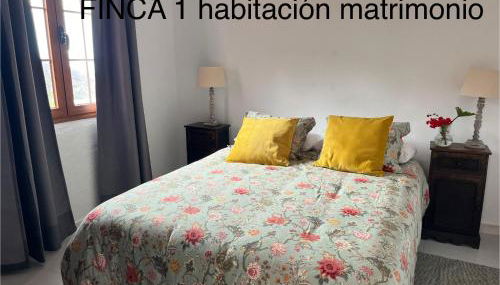 Finca La Calzada - Foto 4