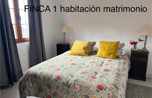 Finca La Calzada - Foto 4