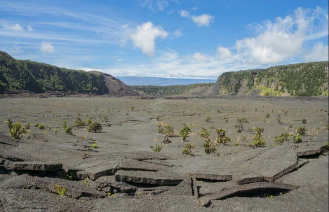 Hawaii Volcanoes National Park Tour - Foto 7