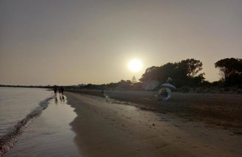 Villa Serena - Foto 15