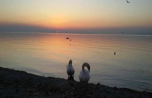 Dimora Miralago - vista panoramica sul lago, Wifi - Foto 36