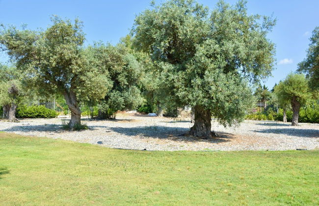 Luxury Rental Villa for 14 People - Foto 40