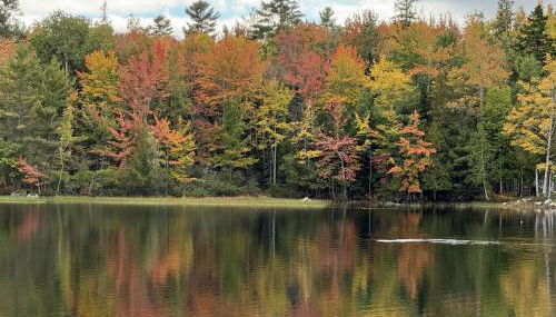 Waterfront-40min to Acadia-Main House-Kayaks - Foto 4