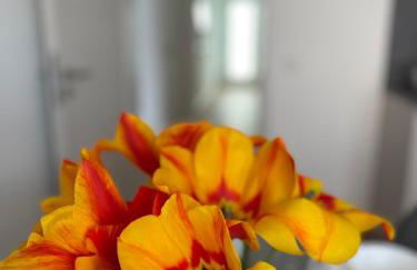 Casa Estella - Photo 13