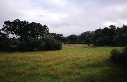 Finca el Vizconde - Naturaleza con tus hijos - Foto 39