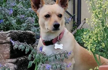 Cà Nostra B&B Home Restaurant - Photo 35