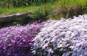 Il Sogno Della Vita AgriResort - Country Rooms & Suites - Foto 66