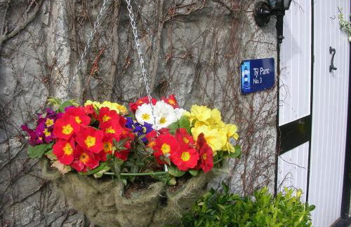 Tros Yr Afon Holiday Cottages and Manor House - Photo 25