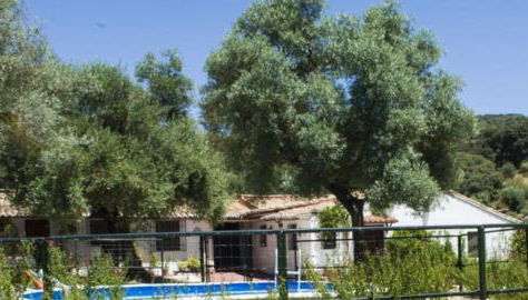 Casa Abanto - Photo 5, Garden