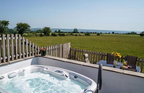 Bwthyn y Ddol - a cottage with stunning views - Foto 11