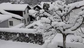 Ferienwohnungen Sachsenblick - Foto 3, Garden