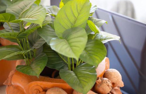 Tre Lune Penthouse by Rental in Roma - Foto 14