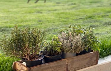 Ferienhaus Chalets Inzell - Foto 18