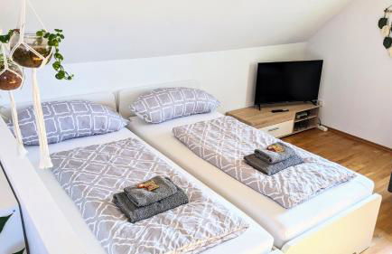 Moderne Einliegerwohnung am Wald - Foto 9