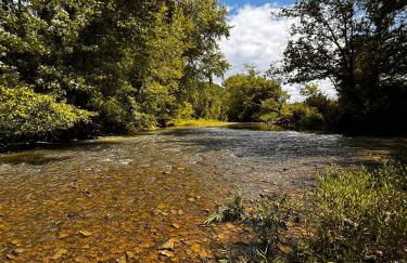 River's Edge at Three Suns Cabins - Foto 8
