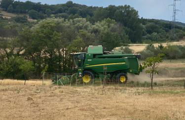 Le Mas du Bueysse - Photo 29